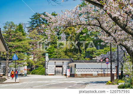 Spring scenery in front of the gate of Seisonkaku in Kanazawa 120757591
