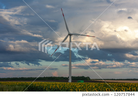 Majestic wind turbine standing tall in a field of sunflowers under a dramatic sky at dusk 120757844
