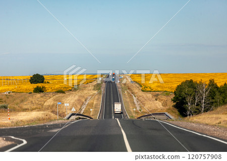Endless highway stretches through golden fields under a clear sky on a serene summer day 120757908