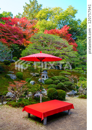 Outdoor tea ceremony among autumn leaves 120757941