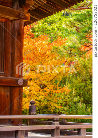 【京都風景】常寂光寺，嵐山最著名的紅葉景點之一 120758023