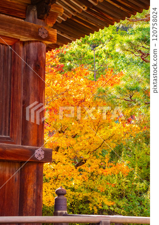 【京都風景】常寂光寺,嵐山最著名的紅葉景點之一 【京都風景】常寂光寺,嵐山最著名的紅葉景點之一 120758024