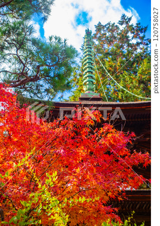 【京都風景】常寂光寺,嵐山最著名的紅葉景點之一 【京都風景】常寂光寺,嵐山最著名的紅葉景點之一 120758027