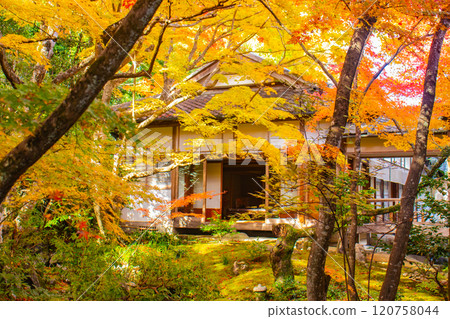 【京都風景】常寂光寺,嵐山最著名的紅葉景點之一 【京都風景】常寂光寺,嵐山最著名的紅葉景點之一 120758044
