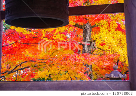 【京都風景】常寂光寺，嵐山最著名的紅葉景點之一 120758062