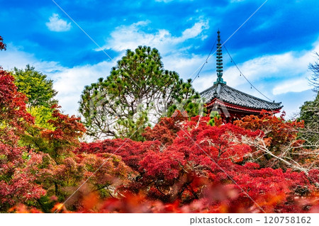 大覺寺的紅葉景色 大覺寺的紅葉景色 120758162