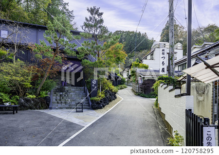 Bessho Onsen Midoriya and Tsuruya, Ueda City, Nagano Prefecture 120758295