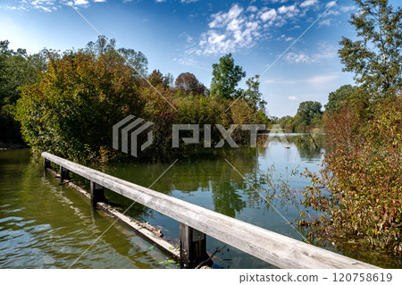 Flooded Road With Bridge Through Forest At High Water In Danube Wetlands National Park in Austria Flooded Road With Bridge Through Forest At High Water In Danube Wetlands National Park in Austria 120758619