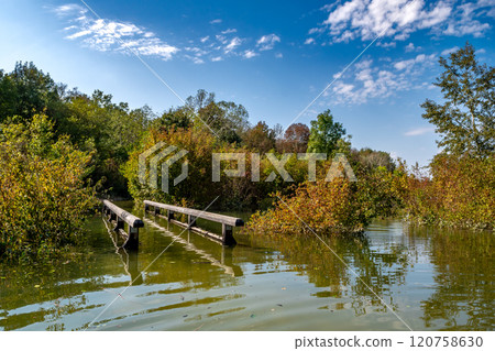 Flooded Road With Bridge Through Forest At High Water In Danube Wetlands National Park in Austria Flooded Road With Bridge Through Forest At High Water In Danube Wetlands National Park in Austria 120758630