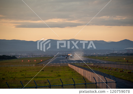 Plane landing at the airport at dusk 120759078