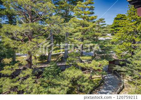 金澤清閣赤門和庭園 120759211
