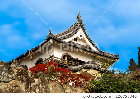 Hikone Castle dyed in autumn leaves Hikone Castle dyed in autumn leaves 120759346