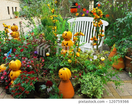 Nagoya Hisaya Odori Garden Flarie: Halloween bench surrounded by flowers 120759366
