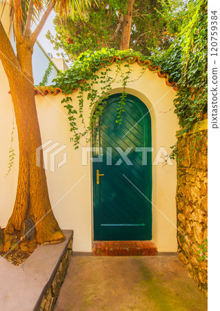 A vibrant green door framed by lush foliage and rustic walls in a Capri island A vibrant green door framed by lush foliage and rustic walls in a Capri island 120759384