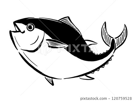Hand-drawn line drawing of a jumping tuna 120759528