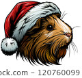 Guinea Pig with Santa Claus Cap 120760099