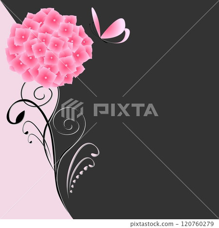 Illustration of a beautiful black and pink floral background with pink hydrangea and butterfly 120760279