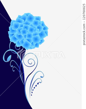 Illustration of beauty blue and white floral background with blue hydrangea 120760825