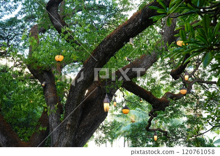 大樹綠色花園 大樹綠色花園 120761058
