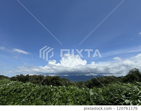 夏天的山景、雷雨雲（Iox Arosa *富山縣南礪市） 120761176