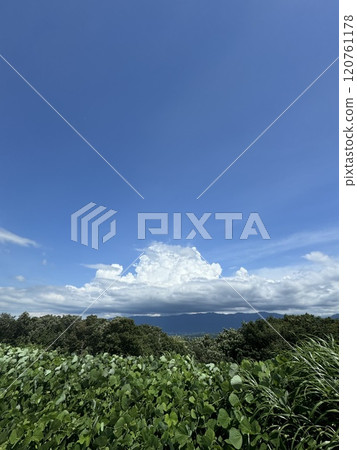 Summer mountain scenery, cumulonimbus clouds (Iox arosa, Nanto City, Toyama Prefecture) 120761178
