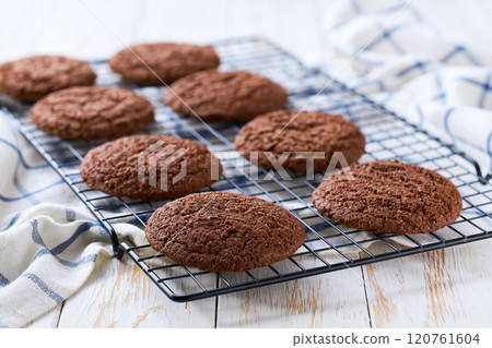Freshly baked American chocolate cookies cooling on a black wire rack, with in a light kitchen table, selective focus. 120761604