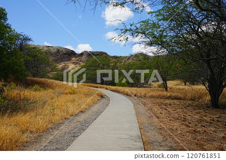america diamond head hiking trail 120761851
