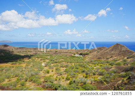 Diamond Head landscape in the USA 120761855