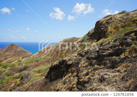 Diamond Head landscape in the USA 120761856