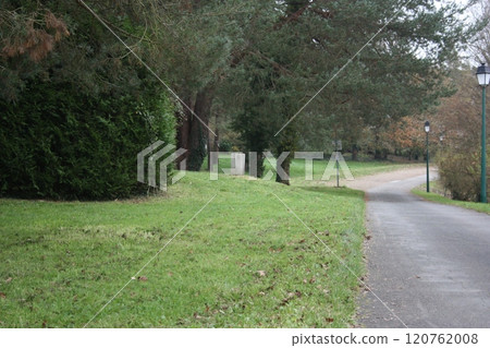 Picturesque rural park. Road through the park. 120762008
