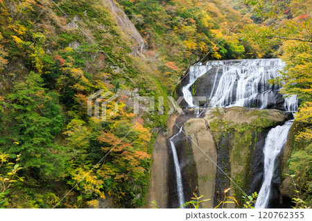 Fukuroda Falls in autumn colors (Daigo Town, Ibaraki Prefecture) 120762355