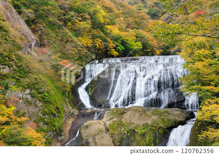 Fukuroda Falls in autumn colors (Daigo Town, Ibaraki Prefecture) Fukuroda Falls in autumn colors (Daigo Town, Ibaraki Prefecture) 120762356