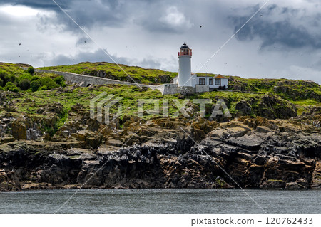 Seabird Nature Reserve Isle Of May In The Firth Of Forth In The Atlantic Ocean Near Anstruther In Scotland 120762433