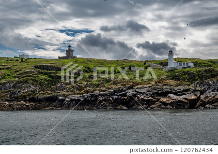 Seabird Nature Reserve Isle Of May In The Firth Of Forth In The Atlantic Ocean Near Anstruther In Scotland 120762434