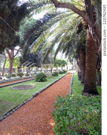 Path in the park with flowers and palm trees on a sunny summer day. 120762495
