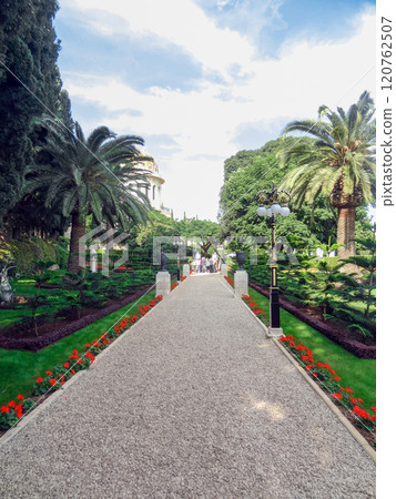 Path in the park with flowers and palm trees on a sunny summer day. 120762507
