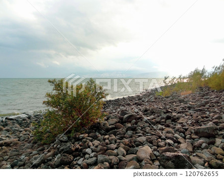 Rocky shore of the sea or lake.The sea of Galilee also called Lake Tiberias or Kinneret, Israel. 120762655