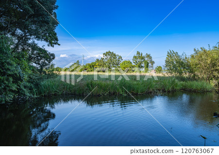 岩田市映照著藍天的鶴池風景（靜岡縣） 120763067