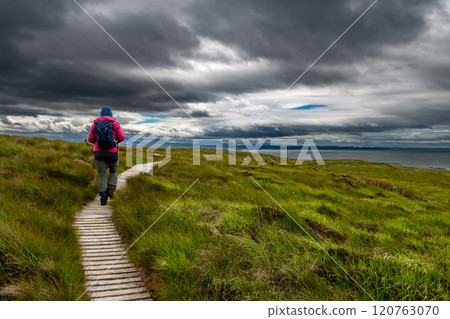 Narrow Wooden Path With Female Hiker On Seabird Protection Reserve Handa Island Near Tarbet In The Atlantic Ocean Of Scotland, UK Narrow Wooden Path With Female Hiker On Seabird Protection Reserve Handa Island Near Tarbet In The Atlantic Ocean Of Scotland, UK 120763070