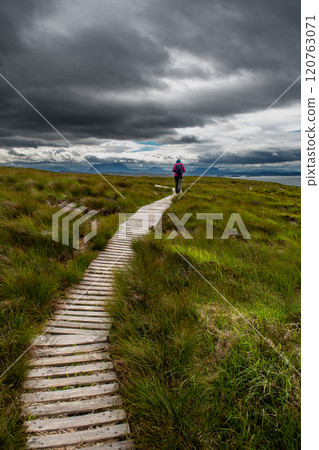 Narrow Wooden Path With Female Hiker On Seabird Protection Reserve Handa Island Near Tarbet In The Atlantic Ocean Of Scotland, UK 120763071