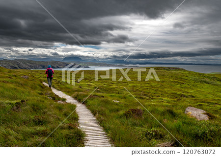 Narrow Wooden Path With Female Hiker On Seabird Protection Reserve Handa Island Near Tarbet In The Atlantic Ocean Of Scotland, UK Narrow Wooden Path With Female Hiker On Seabird Protection Reserve Handa Island Near Tarbet In The Atlantic Ocean Of Scotland, UK 120763072