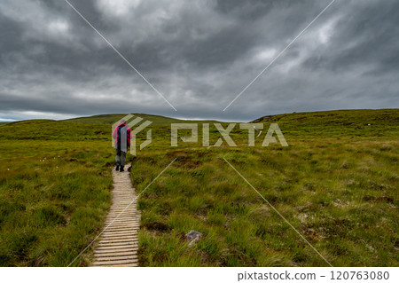 Narrow Wooden Path With Female Hiker On Seabird Protection Reserve Handa Island Near Tarbet In The Atlantic Ocean Of Scotland, UK 120763080
