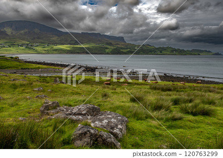 Rural Landscape With Cows, Village And Sandy Beach At The Atlantic Coast Of The Isle Of Skye In Scotland, UK 120763299