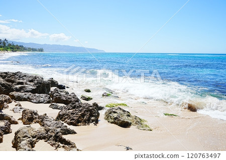 Laniakea Beach, Hawaii, USA 120763497