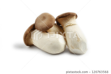 fresh eringi mushrooms, raw, royal oyster mushrooms, three pieces on a white background, isolate, Asian cuisine, no people 120763568