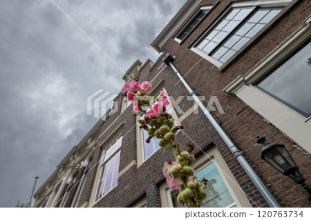 A low-angle view of a brick building with large windows under a cloudy sky. A pink flower stem in the foreground adds contrast and a touch of nature to the urban scene. 120763734