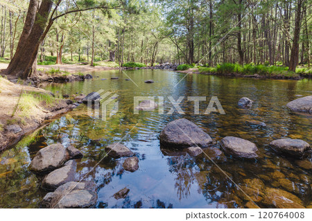 A fresh water river running through a forest of trees 120764008