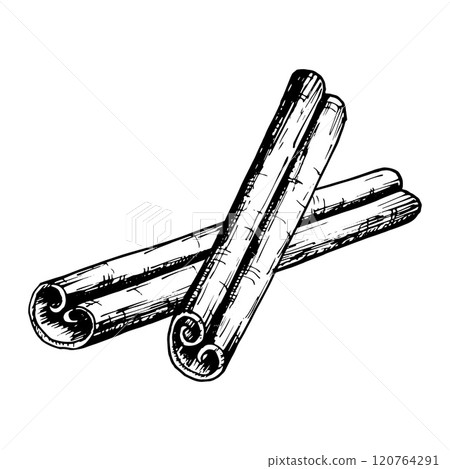 Hand drawn vector illustration of crossed cinnamon sticks in detailed black and white line art. Perfect for use in culinary, holiday and aromatic themed designs, packaging and creative projects. 120764291