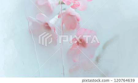 Pink floral background with petals and water droplets on frosted glass.  120764639