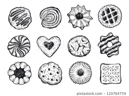 Cookie set hand drawn illustration. Vector. Cookie set hand drawn illustration. Vector. 120764759